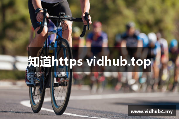 知道https vidhub.top